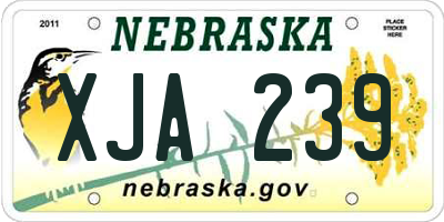 NE license plate XJA239