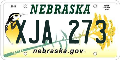 NE license plate XJA273