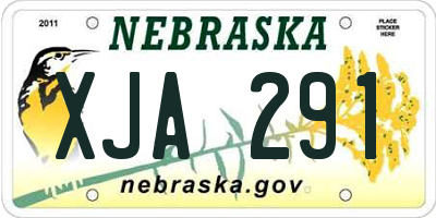 NE license plate XJA291