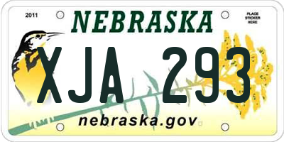 NE license plate XJA293