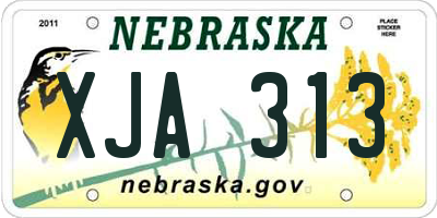 NE license plate XJA313