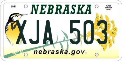 NE license plate XJA503