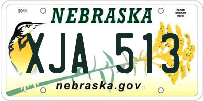 NE license plate XJA513