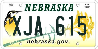 NE license plate XJA615