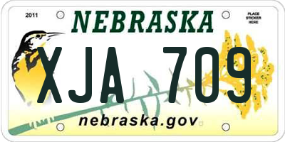 NE license plate XJA709