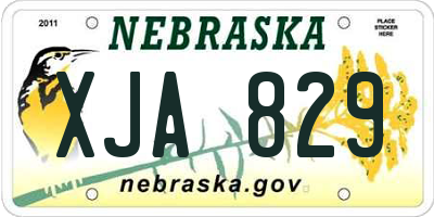 NE license plate XJA829