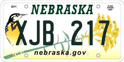 NE license plate XJB217