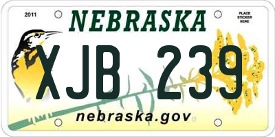 NE license plate XJB239