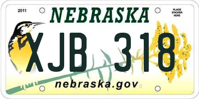 NE license plate XJB318