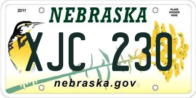 NE license plate XJC230