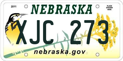 NE license plate XJC273