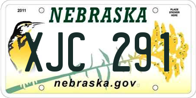 NE license plate XJC291