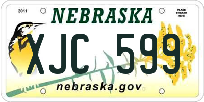 NE license plate XJC599