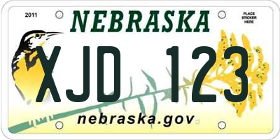 NE license plate XJD123