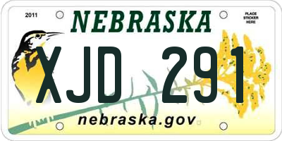 NE license plate XJD291