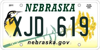 NE license plate XJD619