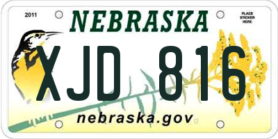 NE license plate XJD816