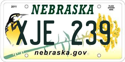 NE license plate XJE239