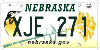 NE license plate XJE271