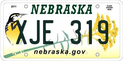 NE license plate XJE319