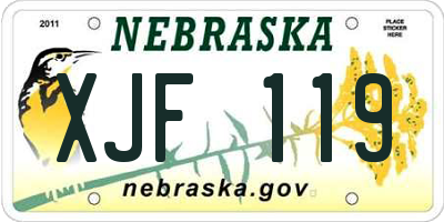 NE license plate XJF119