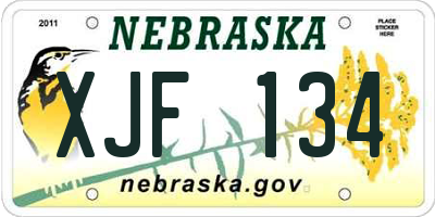 NE license plate XJF134