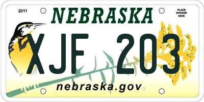 NE license plate XJF203