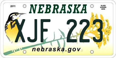 NE license plate XJF223