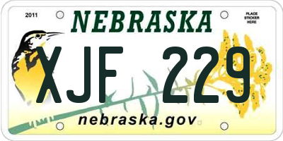 NE license plate XJF229