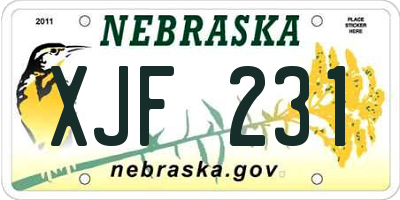 NE license plate XJF231