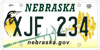 NE license plate XJF234