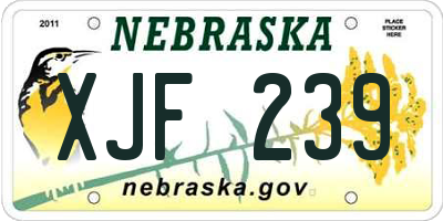 NE license plate XJF239