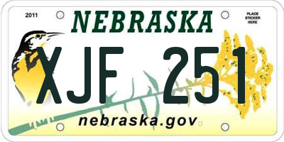 NE license plate XJF251