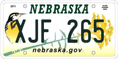 NE license plate XJF265