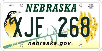 NE license plate XJF268