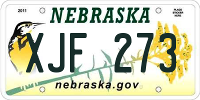 NE license plate XJF273