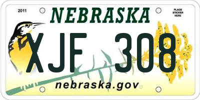 NE license plate XJF308