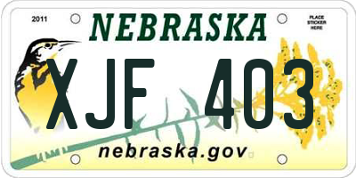 NE license plate XJF403