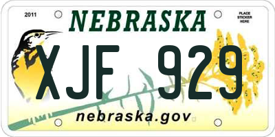 NE license plate XJF929