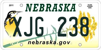 NE license plate XJG238