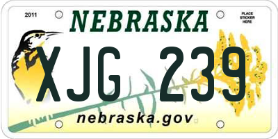 NE license plate XJG239