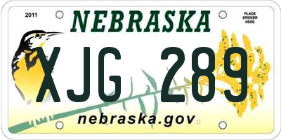 NE license plate XJG289