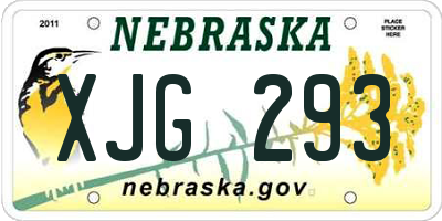 NE license plate XJG293