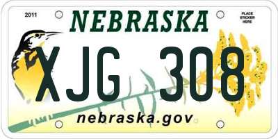 NE license plate XJG308