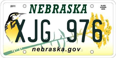 NE license plate XJG976