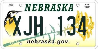 NE license plate XJH134