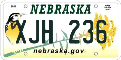 NE license plate XJH236