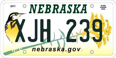 NE license plate XJH239