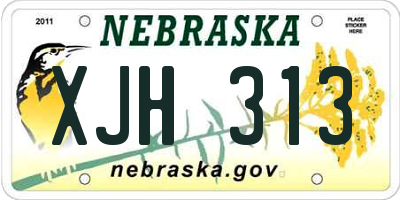 NE license plate XJH313