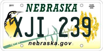 NE license plate XJI239